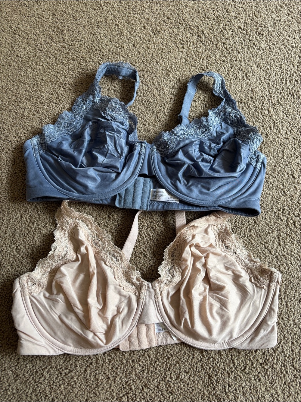 Wacoal Softly Styled Bras Set of 2 — Blue and Nude - 40DD